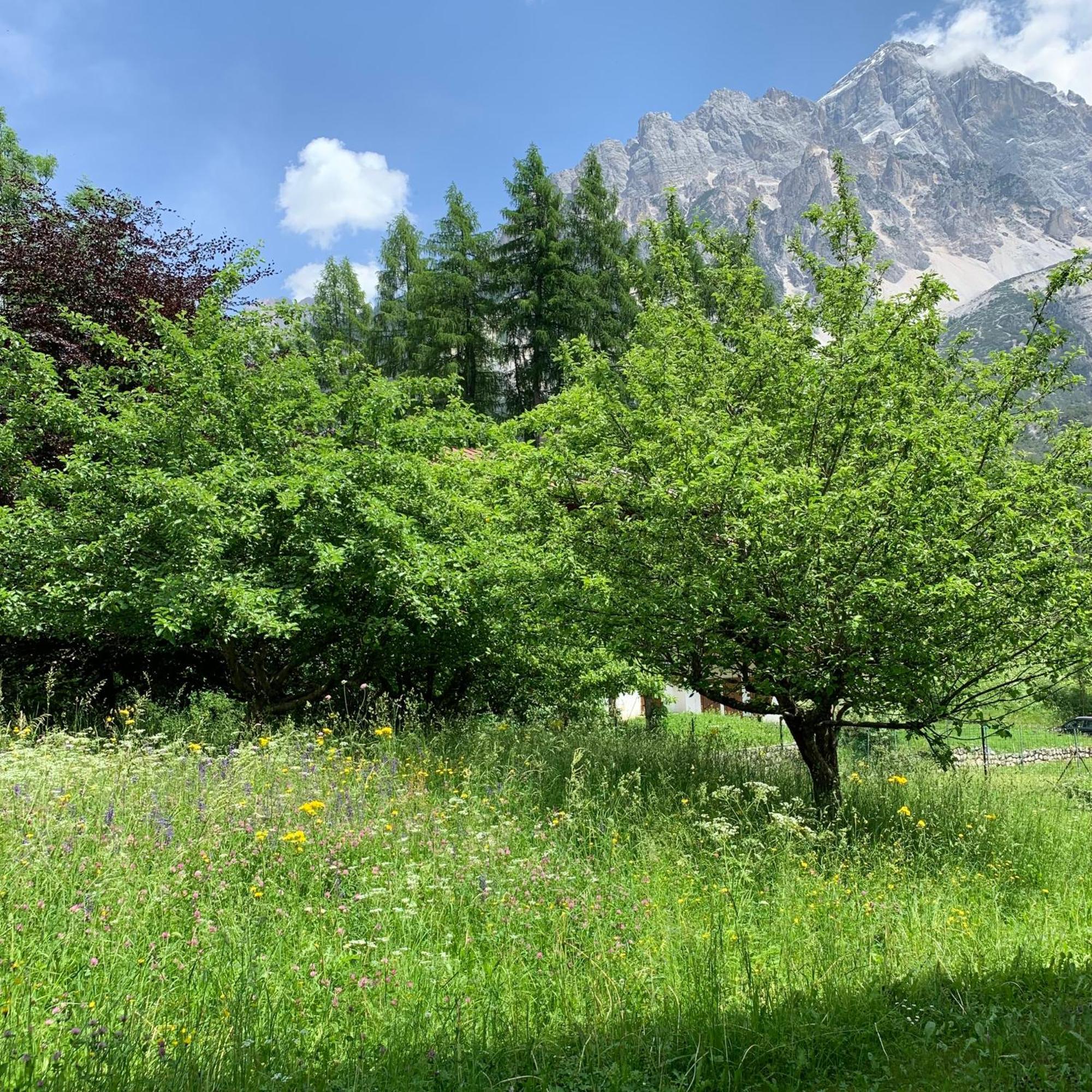 Piccolo Gioiello Di Montagna Apartment Villanova  Luaran gambar